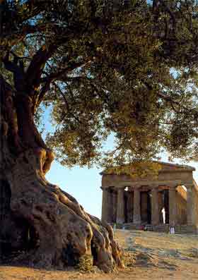 Valle dei templi