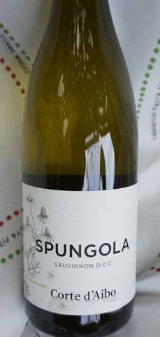 Spungola Sauvignon